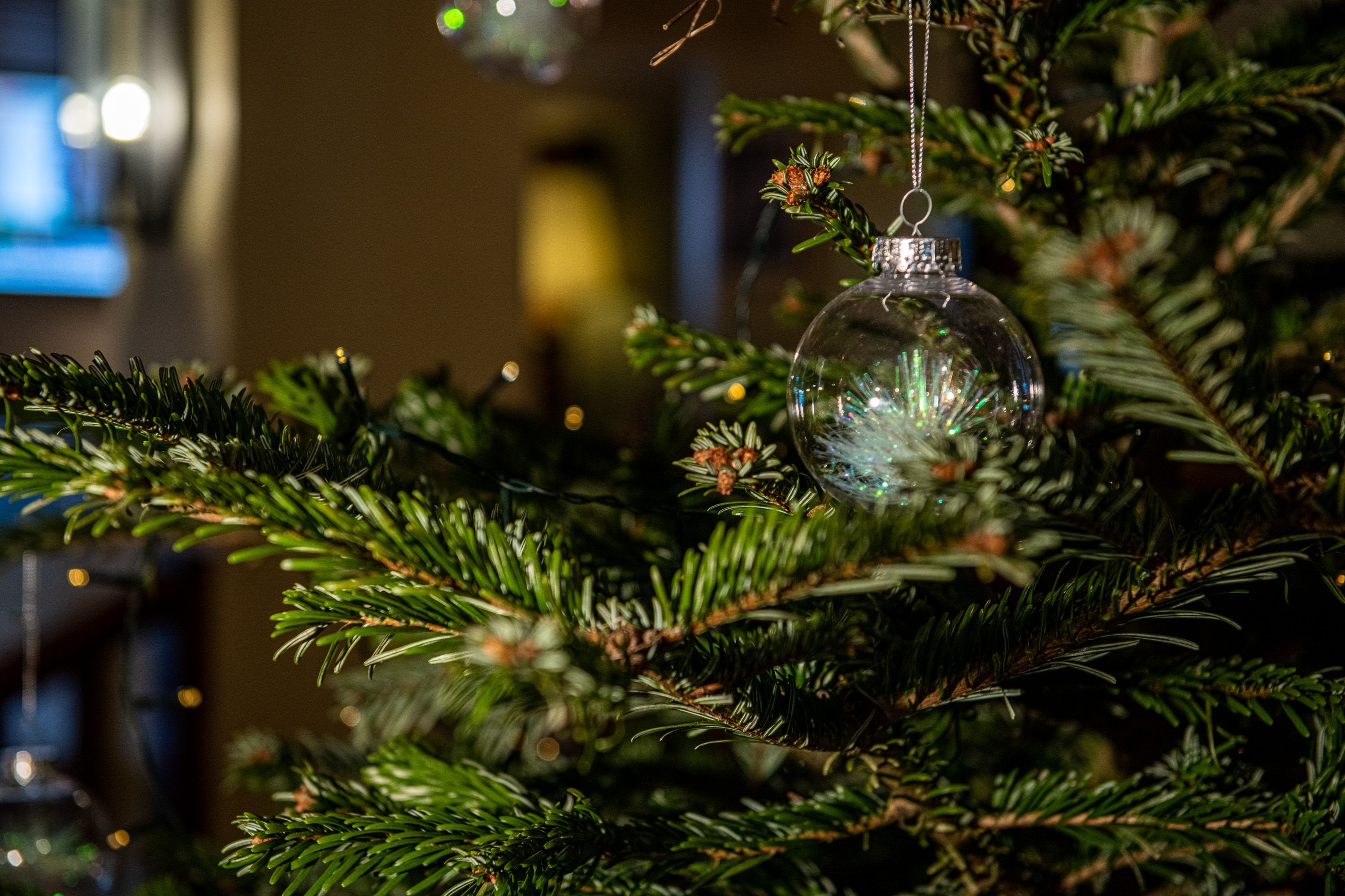 Christmas tree with decorations